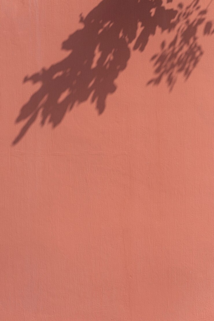 Foto grátis sombra de folhas em uma parede laranja