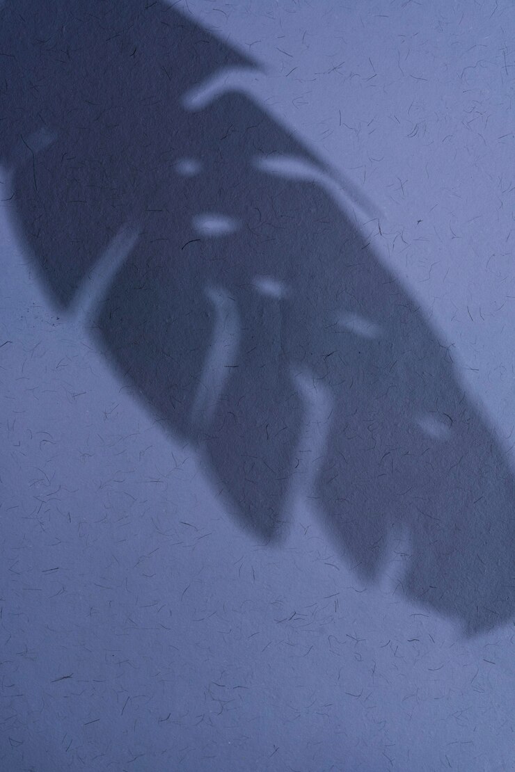 Foto grátis sombras naturais e abstratas