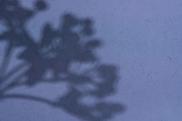 Foto grátis sombras naturais e abstratas