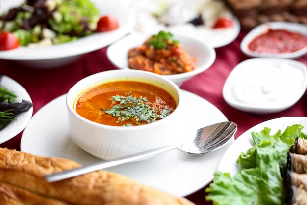 Sopa de caldo de galinha de vista lateral com pão em uma mesa servida