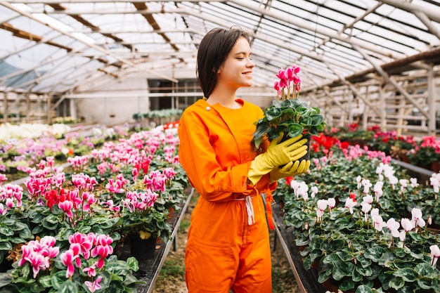 Foto grátis sorrindo jovem jardineiro feminino segurando o vaso de flores rosa em estufa