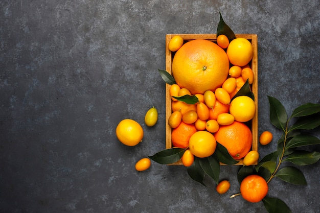 sortidas frutas cítricas na cesta de armazenamento de alimentos, limões, laranjas, tangerinas, kumquats, toranja, vista superior