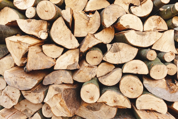 Sortido com madeira cortada para aquecimento