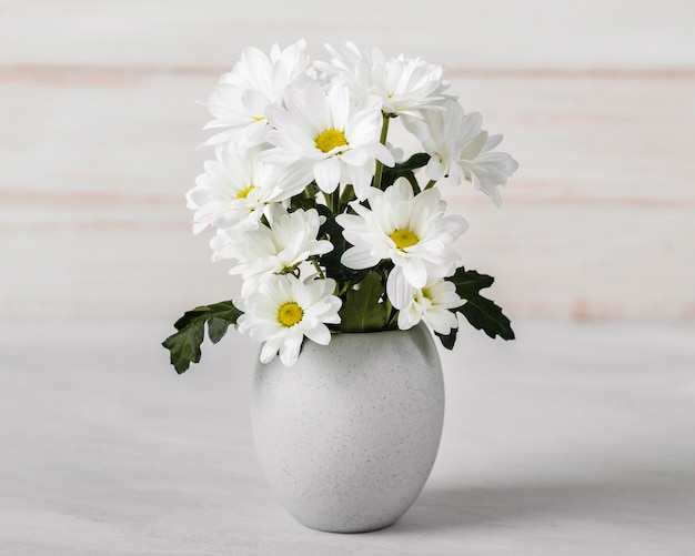 Foto grátis sortimento de flores brancas em vaso branco