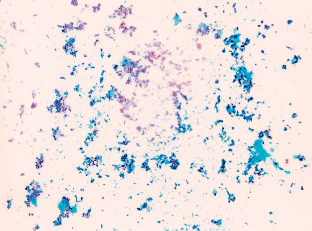 Splatter de pó de cor azul holi em fundo branco