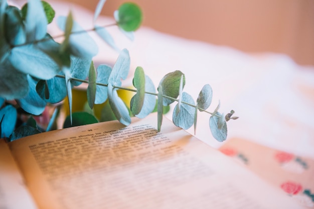 Foto grátis sprig na página do livro