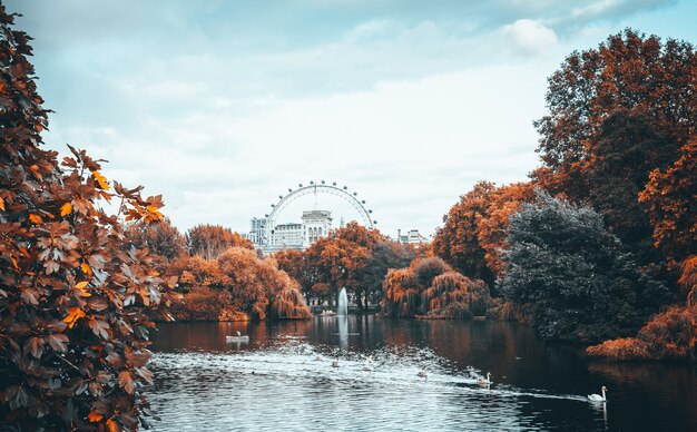 St James's Park, Londres