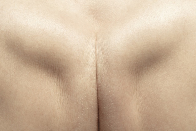 Suave. textura detalhada da pele humana. close-up tiro do jovem corpo feminino caucasiano.