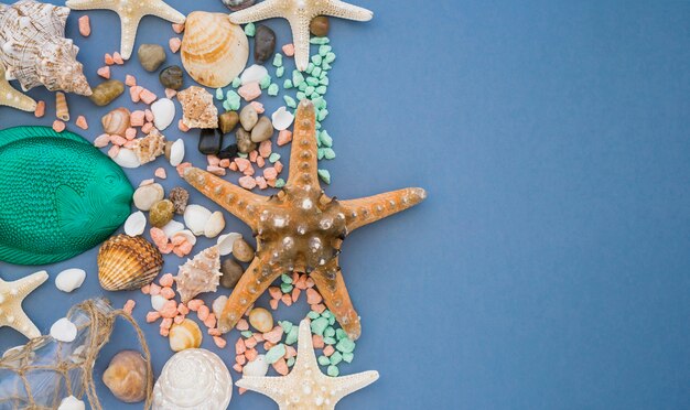 Superfície azul com estrela do mar e conchas marinhas