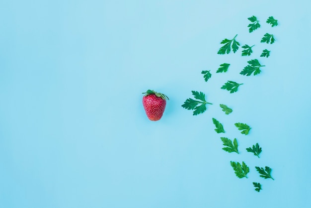 Superfície azul com morango e salsa