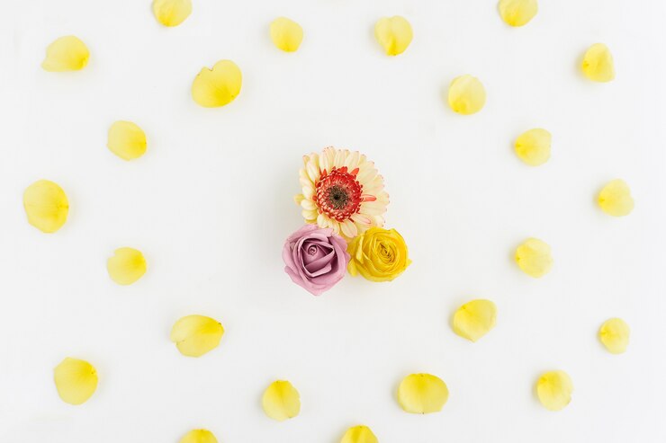 Foto grátis superfície branca com pétalas amarelas decorativas e três flores