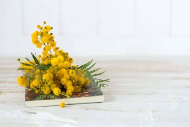 superfície branca com um livro e flores