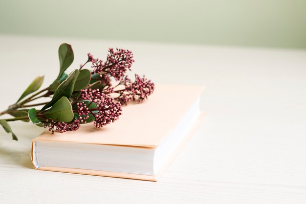 Superfície com livro e flores