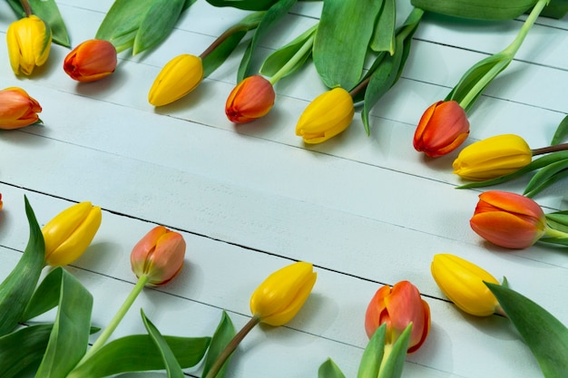 Foto grátis superfície com tulipas decorativos