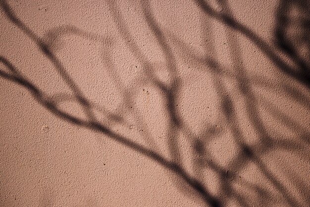 Superfície de parede urbana com sombra de árvore