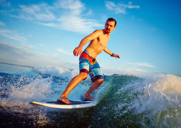 Foto grátis surfboarder desfrutar o verão