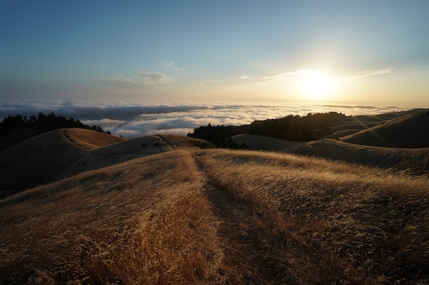 Tam da montanha em Marin CA cobrir no campo de grama seca com horizonte visível