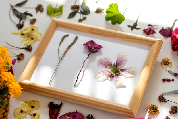 Foto grátis técnica de prensa de flores de alto ângulo ainda vida