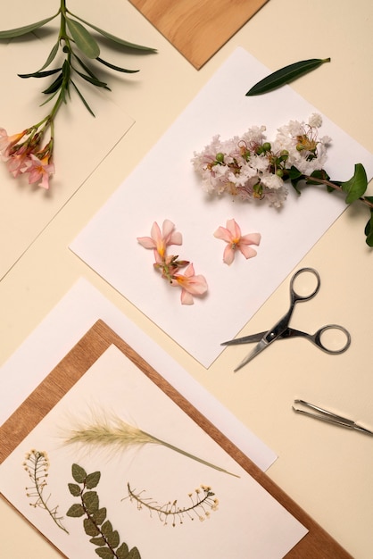 Foto grátis técnica de prensa de flores de vista superior ainda vida