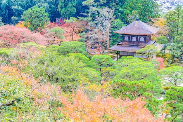 Foto grátis templo de ginkakuji