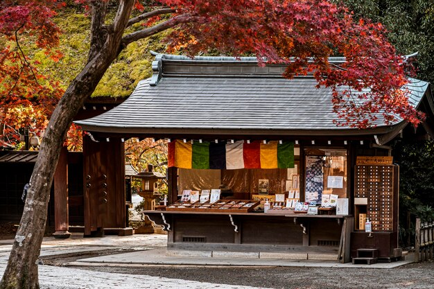 Templo japonês com árvore inclinada