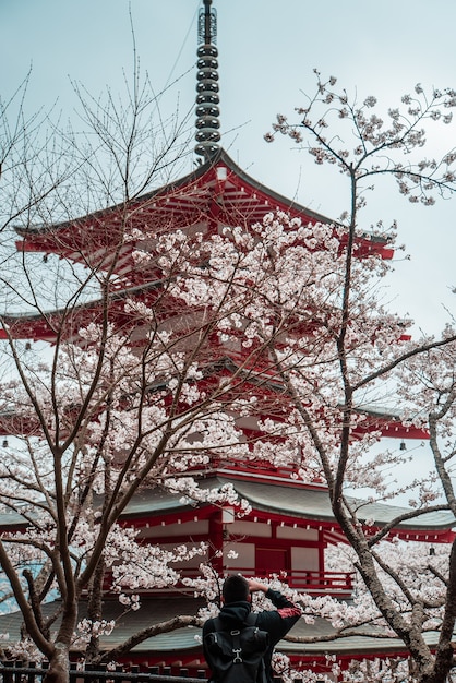 Foto grátis templo japonês vermelho e branco