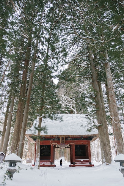 Templo na floresta de neve no togakushi shrine, japão