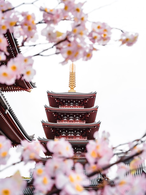 Templo senso-ji em tóquio