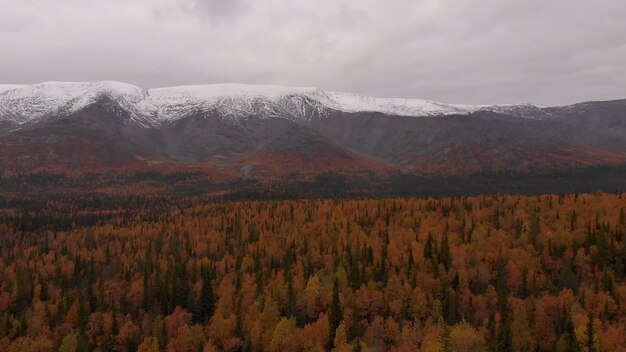 Tempo nublado com árvores amareladas, pico da montanha coberta de neve