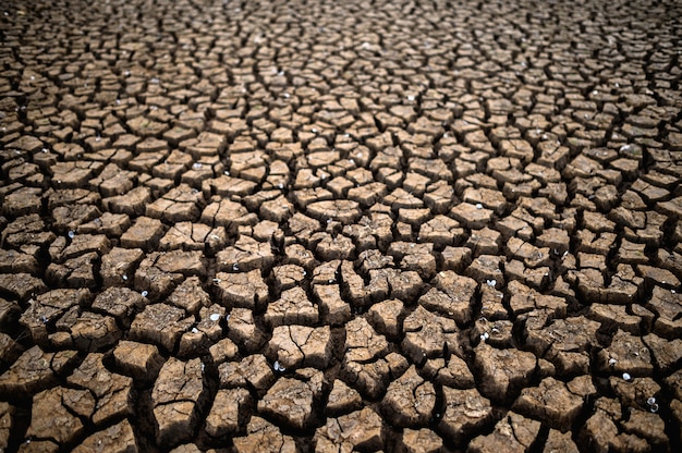 Terra árida com solo seco e rachado, aquecimento global