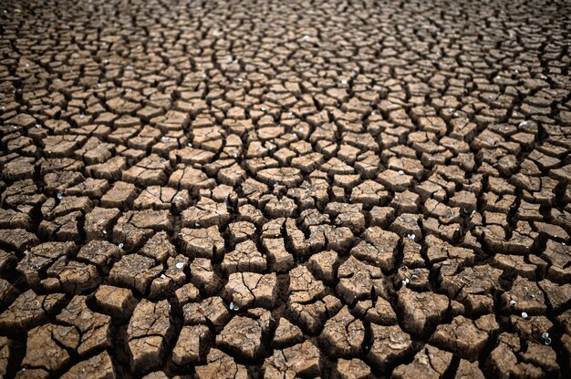 Terra árida com solo seco e rachado, aquecimento global