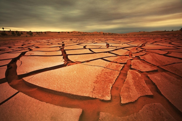 Foto grátis terra seca