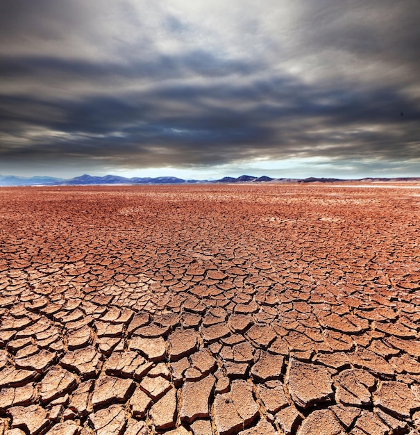 Foto grátis terra seca