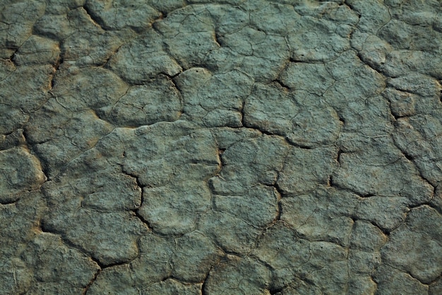 Foto grátis terra seca