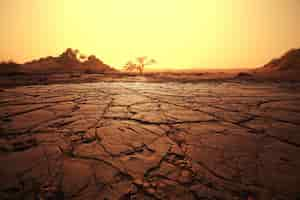 Foto grátis terra seca