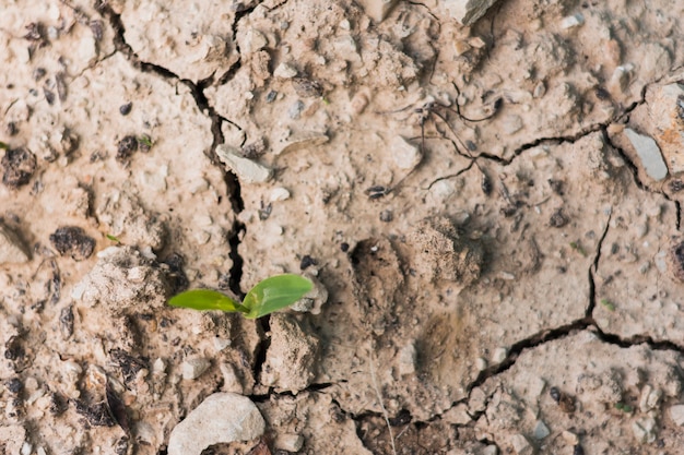 Terreno plano com rachaduras