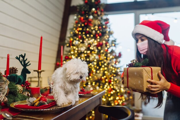 Terrier em uma mesa de Natal, uma garota de pé ao lado segurando um presente