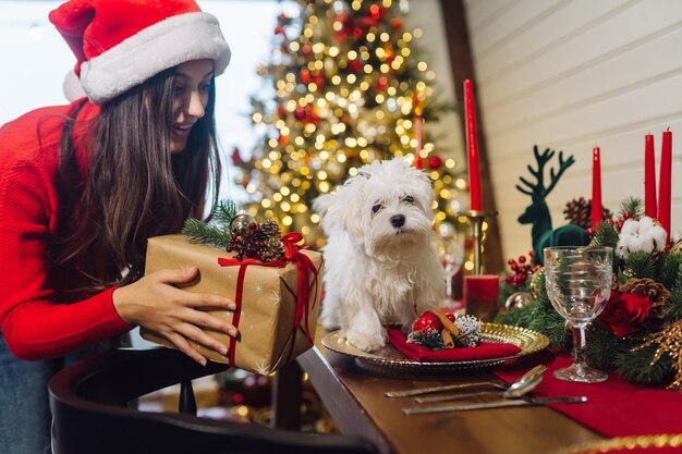 Terrier em uma mesa decorativa de Natal, uma garota de pé ao lado segurando um presente