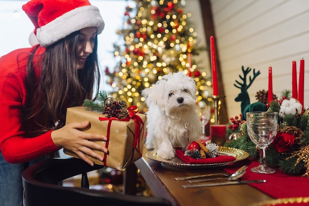 Terrier em uma mesa decorativa de Natal, uma garota de pé ao lado segurando um presente