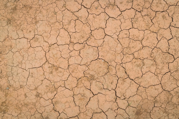 Textura à terra seca e rachada.