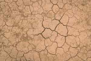 Foto grátis textura à terra seca e rachada.