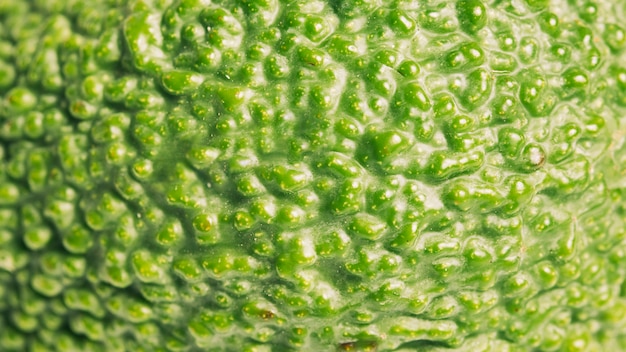 Foto grátis textura de abacate macro