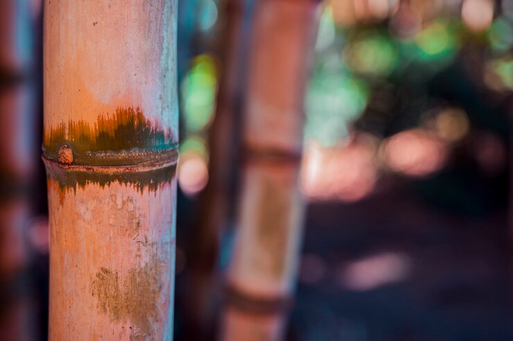 Foto grátis textura de bambu