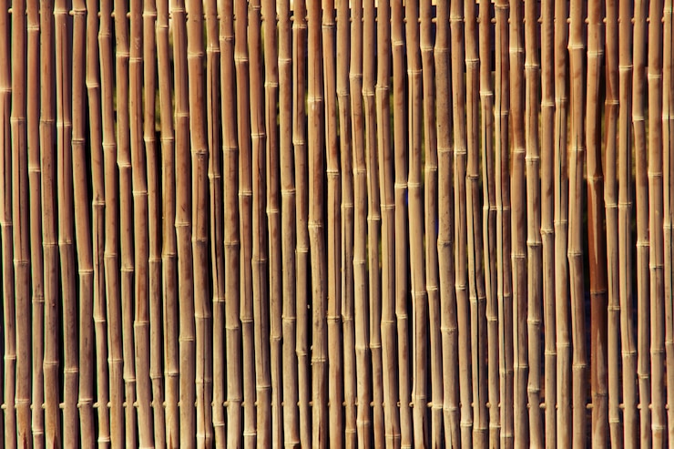 Textura de cerca de bambu