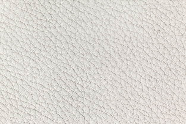 Textura de couro branco close up