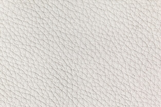 Textura de couro branco close up