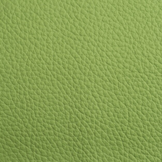 Textura de couro verde para o fundo