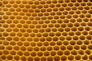 Foto grátis textura de favo de mel amarela