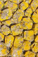 Foto grátis textura de fundo de rocha amarela