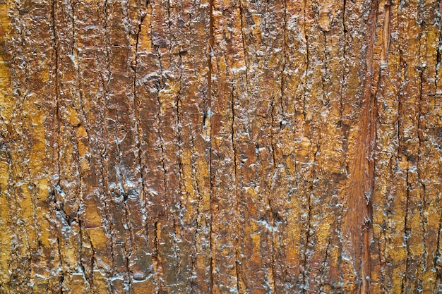 Textura de madeira danificada